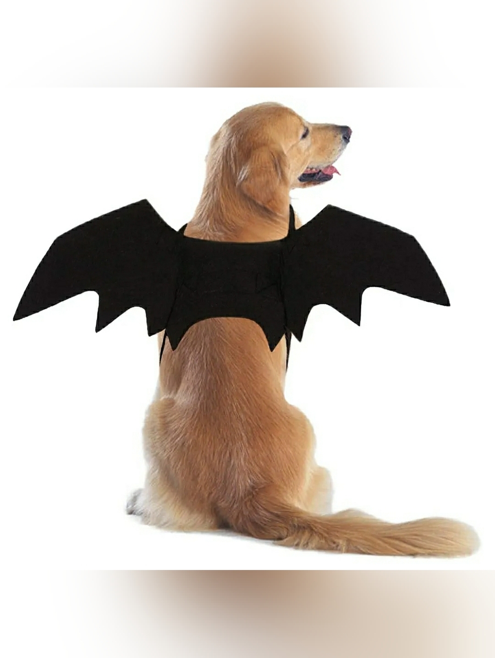Dog Bat Wings Costume Felt Black NWT Size Large